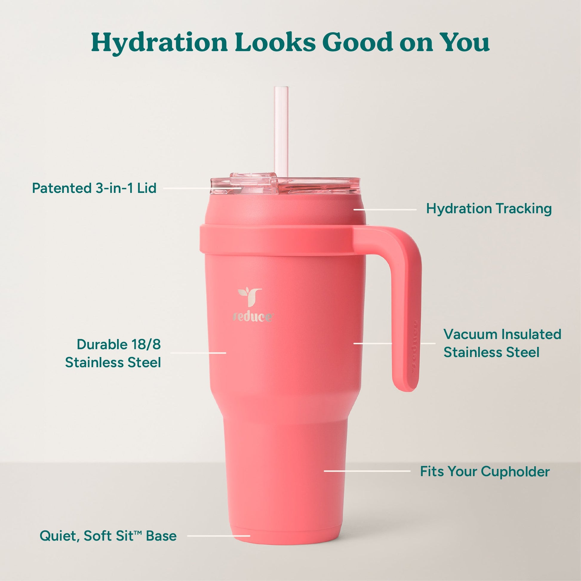 cold1-40-oz-v6 Cold1_40oz_Daiquiri_Infographic_2.jpg