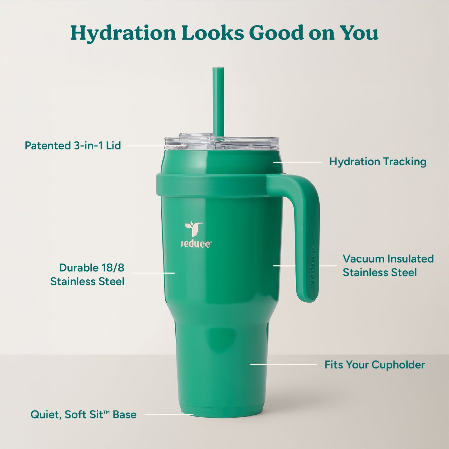 cold1-40-oz-v6 Cold1_40oz_PalmLeaf_Infographic_2.jpg