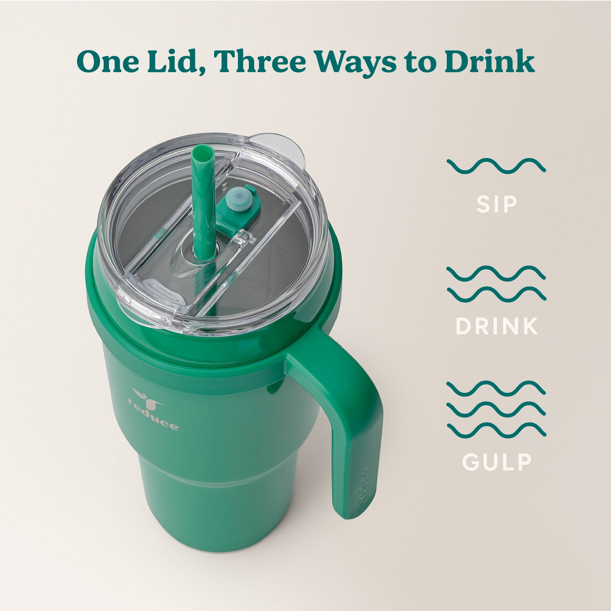 cold1-40-oz-v6 Cold1_40oz_PalmLeaf_Infographic_3.jpg