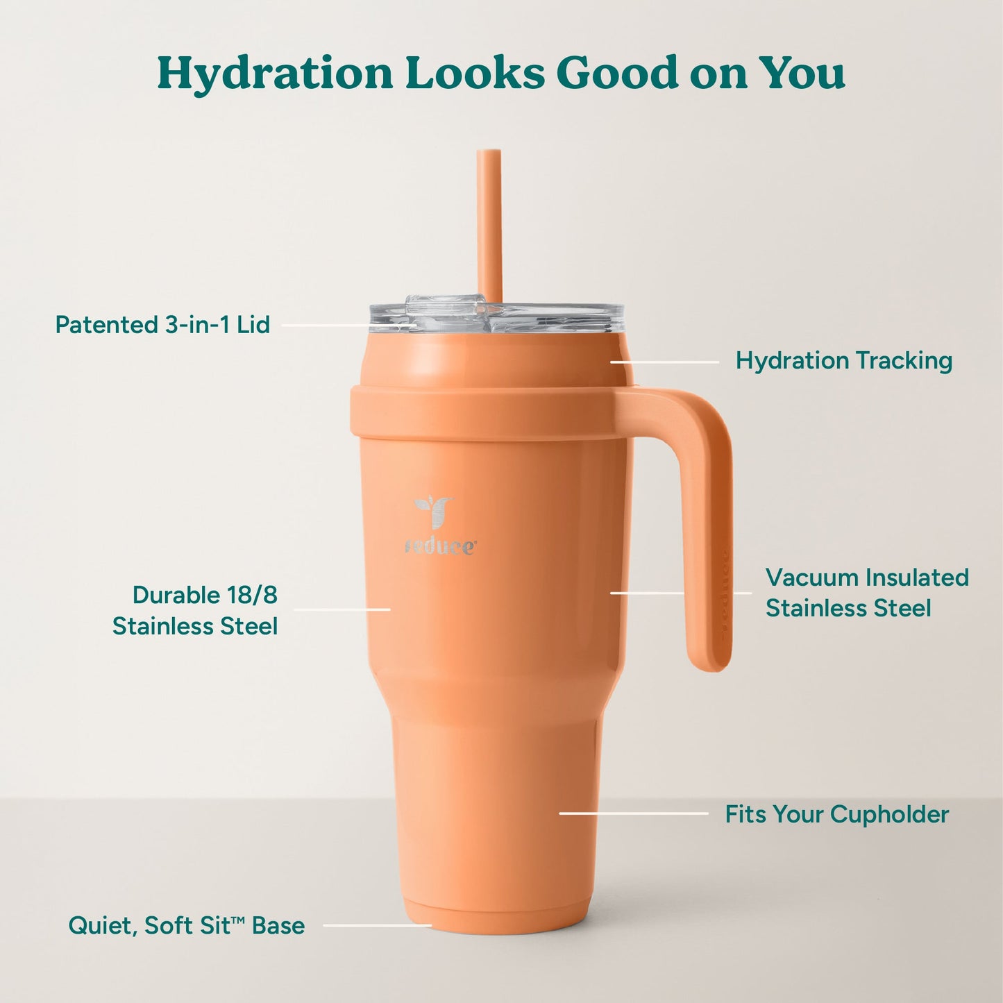 cold1-40-oz-v6 Cold1_40oz_Papaya_Infographic_2.jpg
