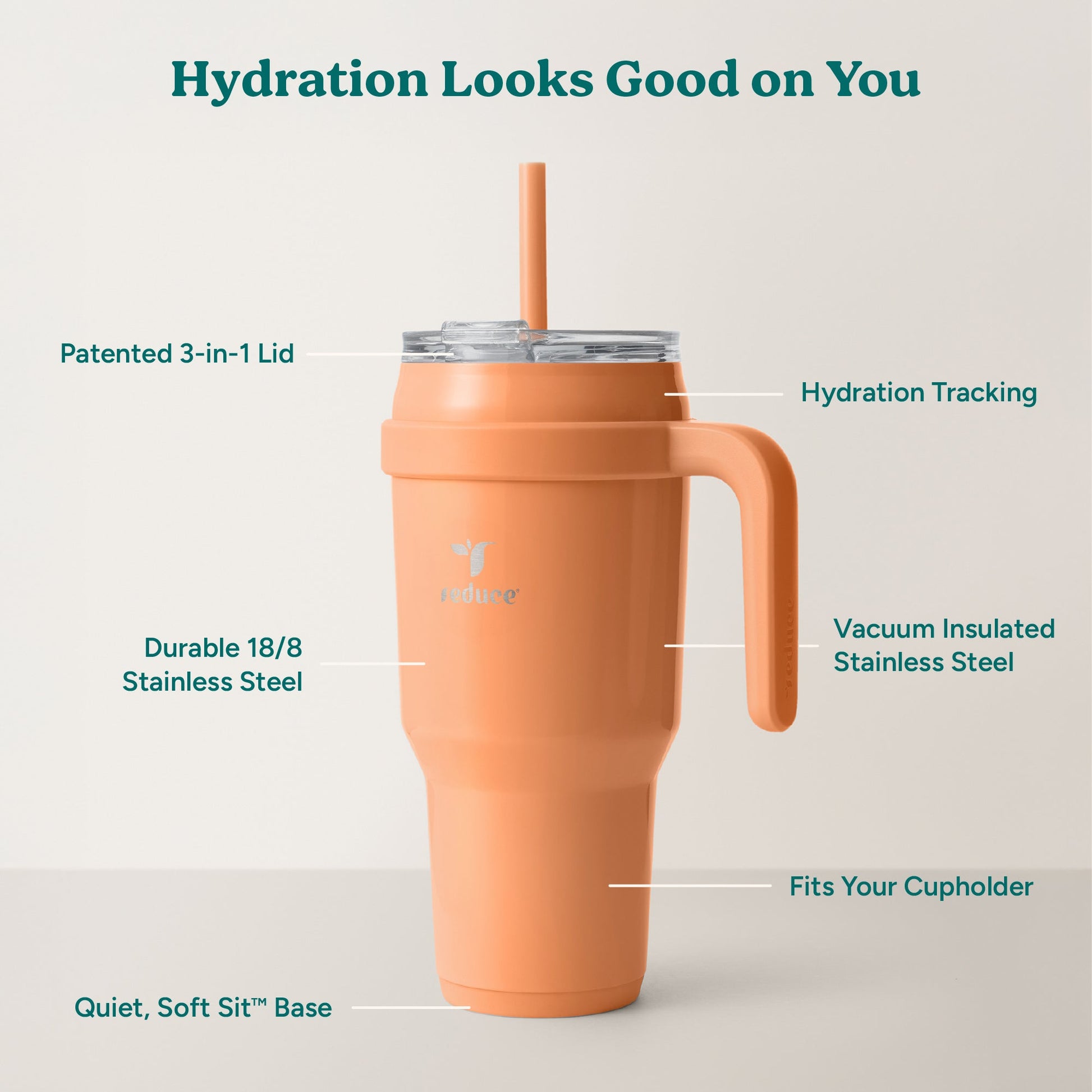 cold1-40-oz-v6 Cold1_40oz_Papaya_Infographic_2.jpg